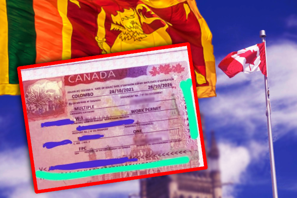 கனடா செல்ல ஆசைப்படும் இளைஞர்களுக்கு எச்சரிக்கை! ஆசைகாட்டி குறிவைத்து ஏமாத்தும் இலங்கை போலி நிறுவனங்கள் - ஐபிசி தமிழ்