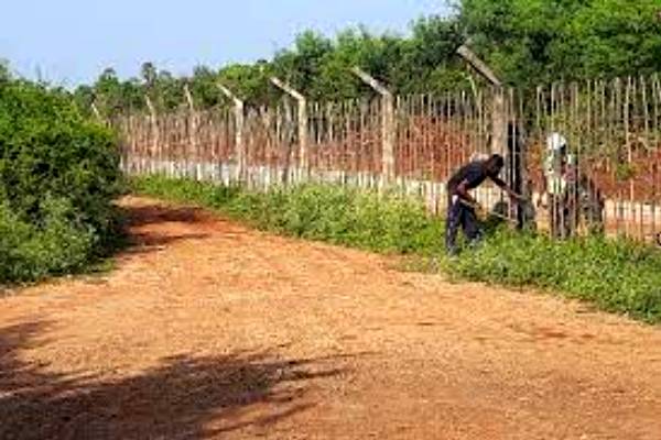 யாழில் இராணுவத்தினரால் மூடப்பட்டிருந்த வீதி திறப்பு | The Opening Of The Road For Sarsai In Jaffna