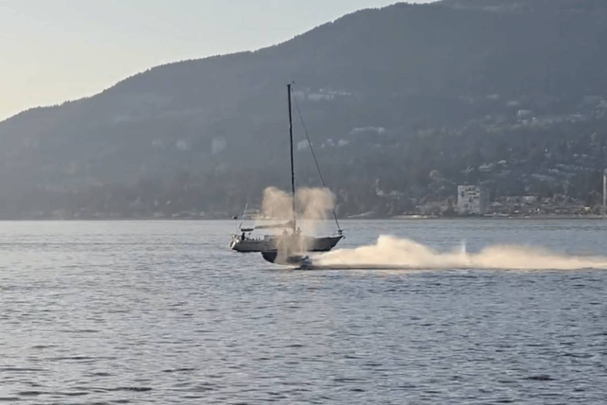 கனடாவில் திமிங்கலத்தின் மீது படகை மோதிய நபர் | Man Hits Jet Ski Rider Into Whale In Canada