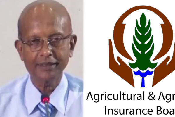 கடும் அழுத்தம்! மற்றுமொரு அரச நிறுவனத்தின் தலைவர் பதவி விலகல் - ஐபிசி தமிழ்