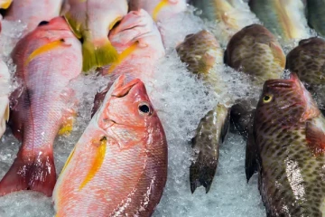 பாவனைக்கு உதவாத 35,000 கிலோ மீன்கள்; அதிகாரிகள் அதிரடி  நடவடிக்கை