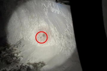 சுவிட்சர்லாந்தில் பனிப்பாறைச் சரிவில் சிக்கிய நபர் செய்த செயல்!