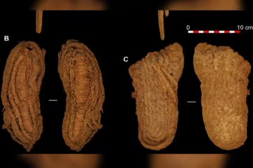 6000 ஆண்டுகள் பழமையான ஜோடி காலணிகள்: ஆச்சரியத்தில் ஸ்பெயின் ஆய்வாளர்கள்