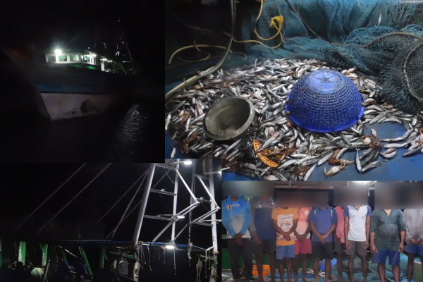 சட்டவிரோதமாக எல்லைதாண்டி மீன்பிடி! 10 இந்திய கடற்தொழிலாளர்கள் கைது - ஐபிசி தமிழ்