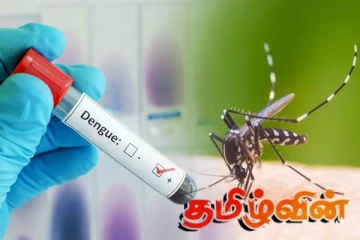 நாட்டில் அதிகரித்து வரும் டெங்கு நோயாளர்களின் எண்ணிக்கை!