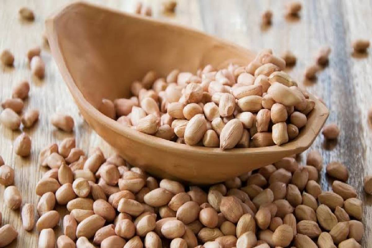 தினமும் ஒரு கைப்பிடி வேர்க்கடலை… வியக்கவைக்கும் ஆரோக்கிய நன்மைகள்! | Effect Of Peanut Consumption Every Day தினமும் ஒரு கைப்பிடி வேர்க்கடலை… வியக்கவைக்கும் ஆரோக்கிய நன்மைகள்! | Effect Of Peanut Consumption Every Day