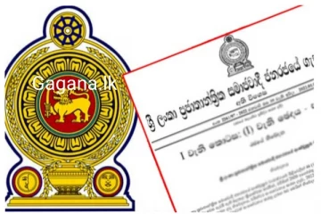 ශ්‍රී ලාංකිකයින්ගේ ආරක්ෂාව සම්බන්ධයෙන් විශේෂ නිවේදනයක් නිකුත් කරයි..