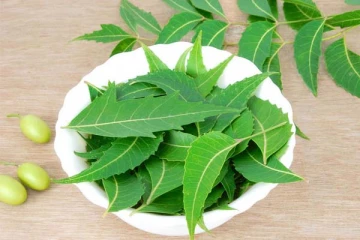 காலை வெறும்வயிற்றில் கசப்பான இரண்டு வேப்பிலை சாப்பிடுங்க.. கண்கூடாக தெரியும் அதிசயம்