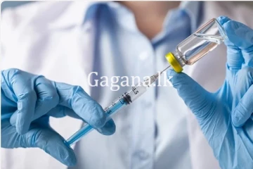 මෙරටට කහ උණ එන්නත් 2,000ක් ඉදිරි සතියේ.