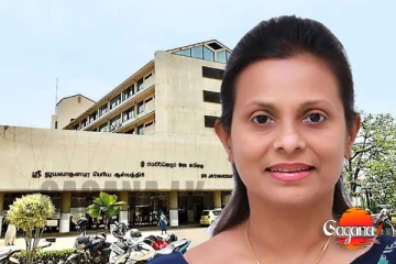 අම්මෝ දොස්තර නෝනගේ බොරු - රට වටේම ගෙවල්