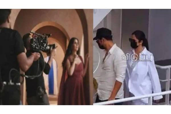 கர்ப்பமாக இருக்கிறாரா நடிகை கத்ரீனா? உற்சாகத்தில் ரசிகர்கள் கமெண்ட்ஸ்! | Is Actress Katrina Pregnant Details