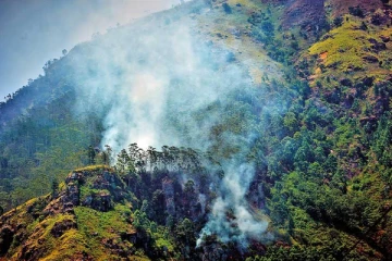 எல்ல பகுதியில் பாரிய தீ விபத்து ; ஐந்து ஏக்கர் நிலப்பரப்பு முற்றாக பாதிப்பு