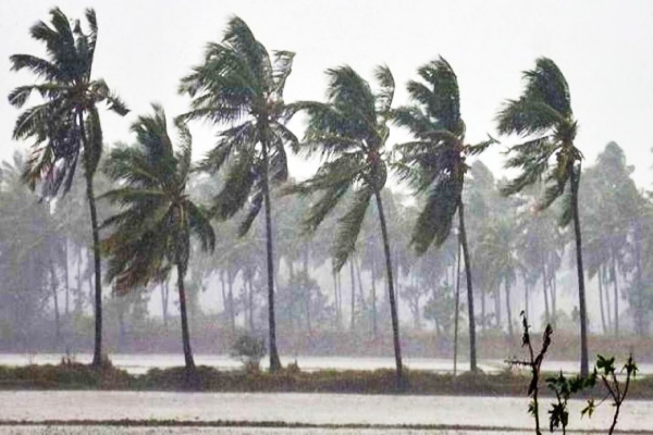 வடக்கு, கிழக்கு மாகாணங்களில் மழை பெய்யும் சாத்தியம்: இன்றைய வானிலை அறிக்கை | Rainy Weather In Many Parts Of The Country