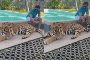 புலி வாலை பிடித்து டயலொக் பேசிய பிரபலம்! தீயாய் பரவும் வீடியோ காட்சி