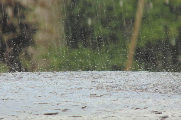 சீரற்ற காலநிலை காரணமாக அறுவர் உயிரிழப்பு | 6 People Lost Their Lives Due To Inclement Weather