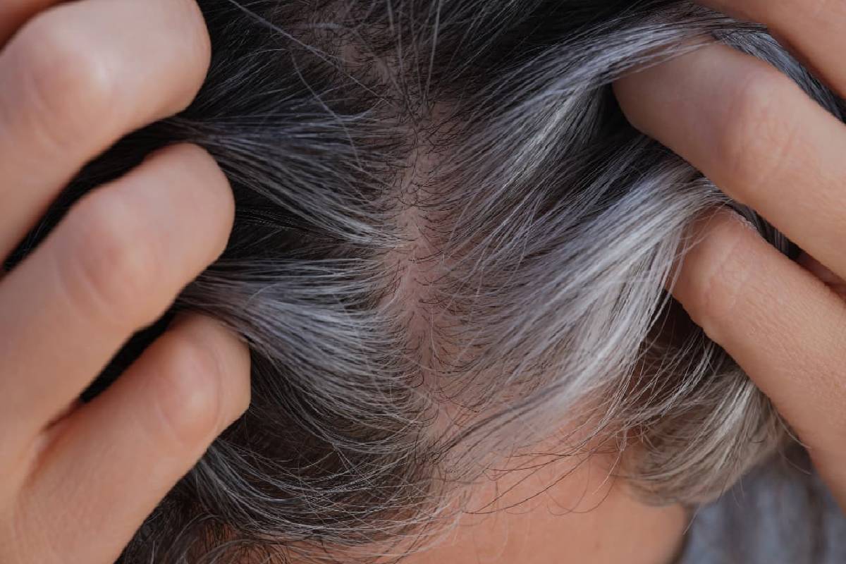 என்ன செய்தாலும் நரைமுடி போகலையா? இந்த எண்ணெயை Try பண்ணி பாருங்க | Home Made Curry Leaves Oil For Hair Growth