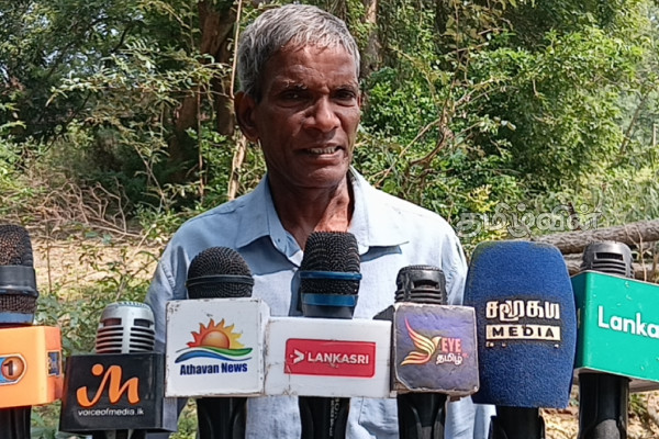 முல்லைத்தீவில் சட்டவிரோதமாக வெட்டி கடத்தப்படும் மரங்கள்: தடுக்குமாறு மக்கள் கோரிக்கை! | Illegally Cut And Smuggled Trees In Mullaitivu