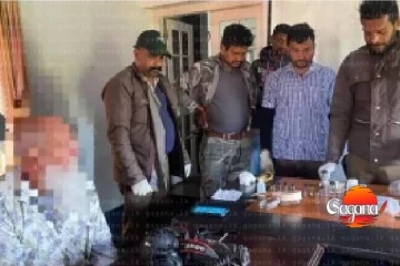 මෙරටට ආවේණික කෘමින්ගේ සාම්පල ළඟ තබාගෙන සිටි ඇමෙරිකා ජාතිකයින් ‍දෙදෙනෙකු අත්අඩංගුවට