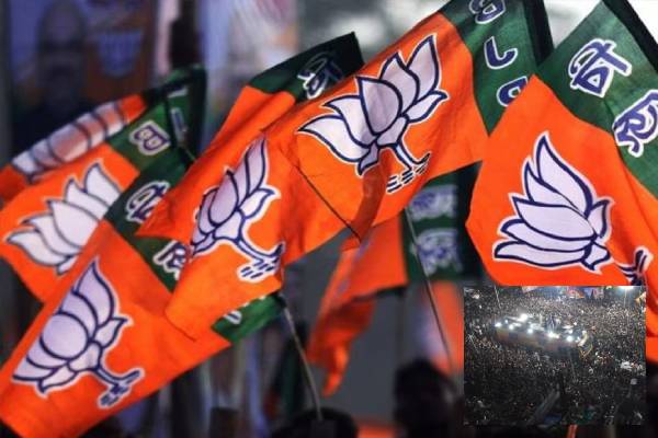 tvk and bjp alliance vijay under pressure