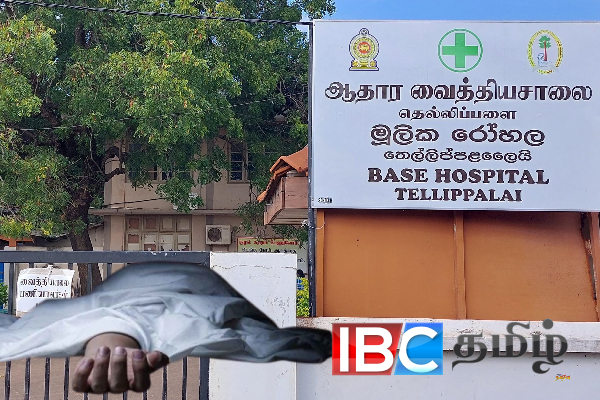 யாழில் கொலை சந்தேகநபர் ஒருவர் கைது! | Suspect Has Been Arrested In Jaffna