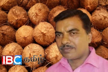 அதிகரித்து வரும் தேங்காய் தட்டுப்பாடு : அரசு எடுக்கவுள்ள நடவடிக்கை