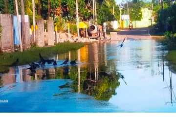 வீதியில் தேங்கியுள்ள வெள்ள நீரில் குளித்து வரும் காகங்கள்: மக்கள் சிரமம் (Photos)