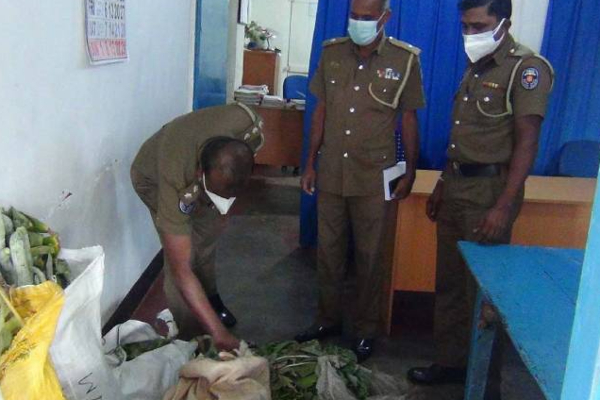 நீண்ட காலமாக அத்தியாவசிய பொருட்களை களவாடிய  கும்பலை கைது செய்த பொலிஸார்! | Police Arrest Gang For Stealing Essential Items