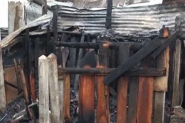 ගොවිපොළකට අකුණු සැර වැදී සතුන් රැසකට දිවි අහිමිවෙයි..