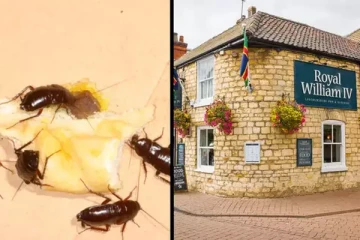 லண்டனில் முதலாளியை நூதன முறையில் பழிவாங்கிய தொழிலாளி!