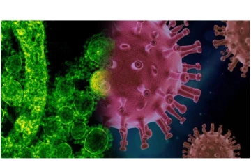 கொரோனாவை விட மிக கொடூர வைரஸ்... - சீனாவுடன் சேர்ந்து பாகிஸ்தான் உருவாக்க திட்டம்? - அதிர்ச்சியில் உலக மக்கள்