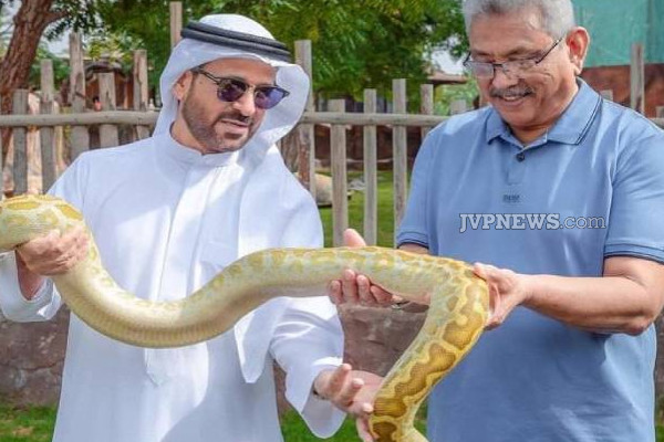 புலிக்கு பாலூட்டிய கோட்டாபய நாடு திரும்பினார் !(PHotos) | Gotabaya Returned To The Country