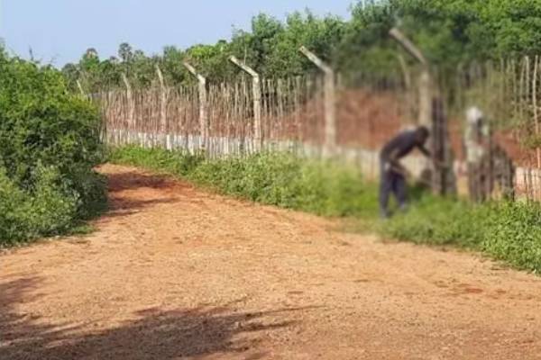 வெருகல் பகுதி காணிகளை உரிமை கோரும் வனத்துறையினர்: சண்முகம் குகதாசன் எம்.பி குற்றச்சாட்டு | The Forest Department Claims The Land Verugal Area