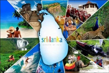 இலங்கையின் சுற்றுலாத்துறை குறித்து மத்திய வங்கி வெளியிட்டுள்ள தகவல்