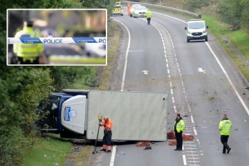 பிரித்தானியாவில் வாகன விபத்து: 59 வயது பெண் மற்றும் 4 குதிரைகள் உயிரிழப்பு!