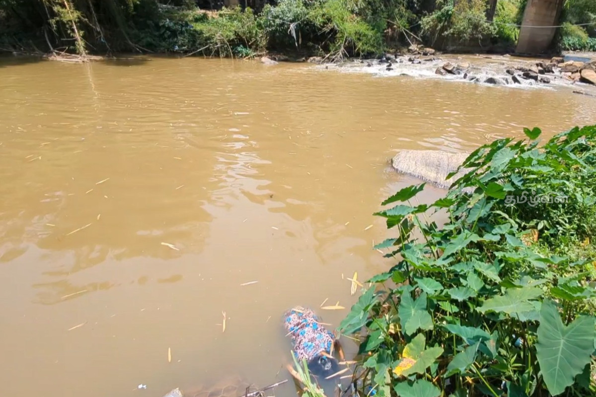 ஹட்டன் பகுதியில் ஆற்றில் மிதந்து வந்த பெண்ணின் சடலம் - தீவிரப்படுத்தப்படும் விசாரணை | Woman S Body Found Floating In River Hatton Area