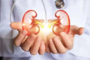 நீங்கள் செய்யும் இந்த தவறுகள் சிறுநீரகத்தை ரொம்ப பாதிக்குமாம்! இனிமே செய்யாதீங்க