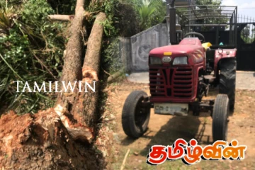 யாழில் காணியொன்றினுள் அத்துமீறி மரம் வெட்டிய இராணுவத்தினர்