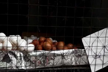 වැඩි මිලට බිත්තර වික්කොත් දඩ නියම වෙයි.. ක්‍රමවේදය