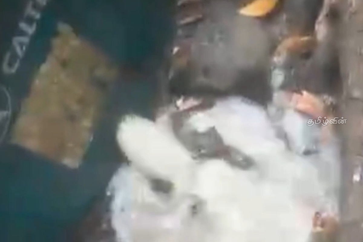 கிண்ணியாவில் முற்றுகையிடப்பட்ட கசிப்பு உற்பத்தி நிலையம் | Leaking Production Plant Under Siege In Kinniya