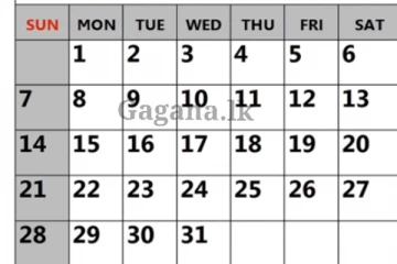 අවුරුදු 12කට පස්සේ අගෝස්තුවේ කරන්න යන දෙය ගැන දැනුම්දීමක් මෙන්න..