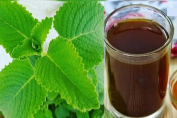 சளி, இருமலைப் போக்கும் கற்பூரவள்ளி டீ!  எப்படி செய்வது தெரியுமா?