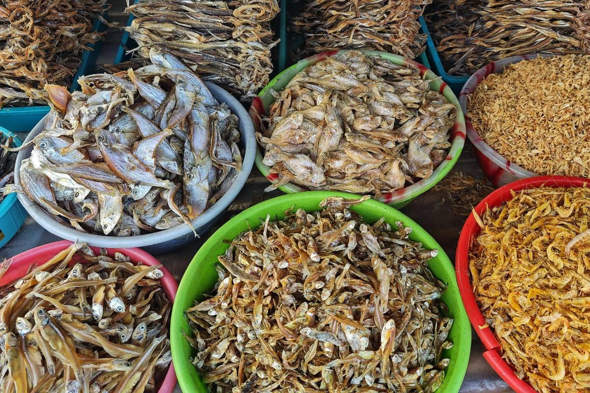 வீட்டில் உள்ள கருவாடு துர்நாற்றம் வீசாமல் இருக்க உதவும் கறிவேப்பிலை: எப்படி பயன்படுத்துவது? | How To Store Dry Fishes With Curry Leaves வீட்டில் உள்ள கருவாடு துர்நாற்றம் வீசாமல் இருக்க உதவும் கறிவேப்பிலை: எப்படி பயன்படுத்துவது? | How To Store Dry Fishes With Curry Leaves
