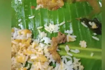 பிரபல ஹோட்டல் சாம்பாரில் பல்லி - வாடிக்கையாளர்கள் அதிர்ச்சி