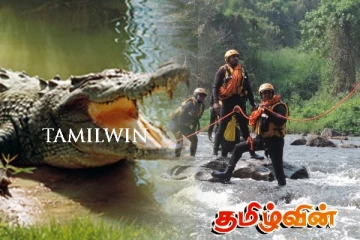 நபர் ஒருவரை இழுத்துச் சென்ற முதலை