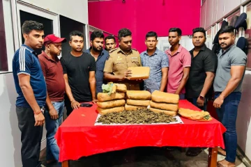 யாழ்ப்பாணத்தில் பெருமளவான கேரளக் கஞ்சா மீட்பு