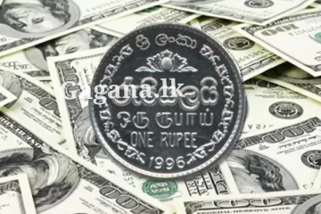 අලුත් අවුරුද්ද අවසන් වෙද්දිම ඩොලරයට මොකද වුණේ කියල දන්නව ද?.මේ ඒ ගැනයි..(PHOTO)