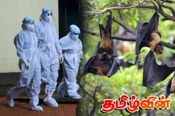 இலங்கையில் ஆபத்தான வைரஸ்..! 75 வீத இறப்பு வீதம்