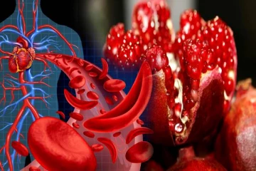 ஹீமோகுளோபின் அளவு ரொம்ப கம்மியா இருக்கா..? அப்போ இந்த உணவுகளை தவிர்க்காதீங்க