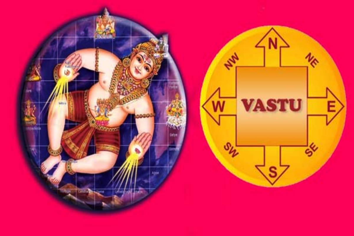 காகம் நம் தலையை தட்டிச் செல்வதற்கு என்ன காரணம்? | Crow Hits You On The Head Is It Bad Luck Signs