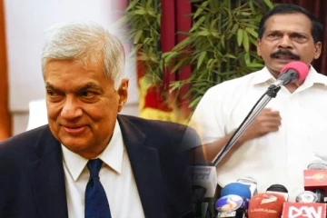 வினோ நோதராதலிங்கம் எம்.பிக்கு எதிராக நடவடிக்கை: ரெலோ திட்டவட்டம்